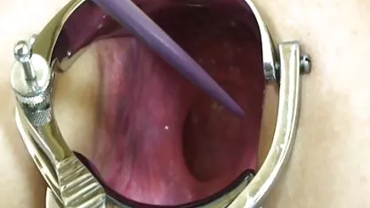 黒いドックとのハンガリーの祖母 美 乳 えろ 動画