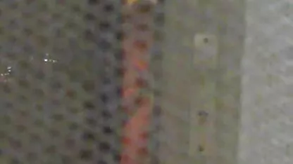 ヴィンテージ毛肛門Slut 野外 えろ