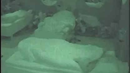 かわいいアジアの代初Orgy 無 修正 素人 えろ